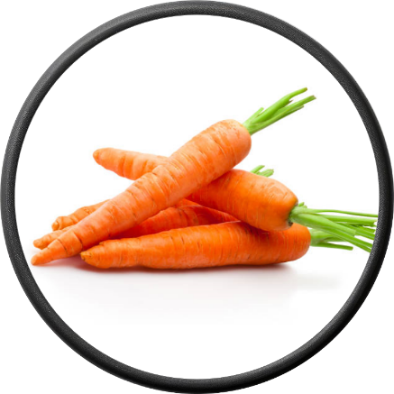 Fresh Carrot